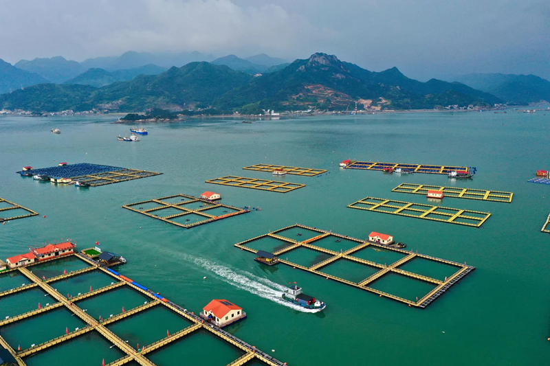 FRP in aquaculture